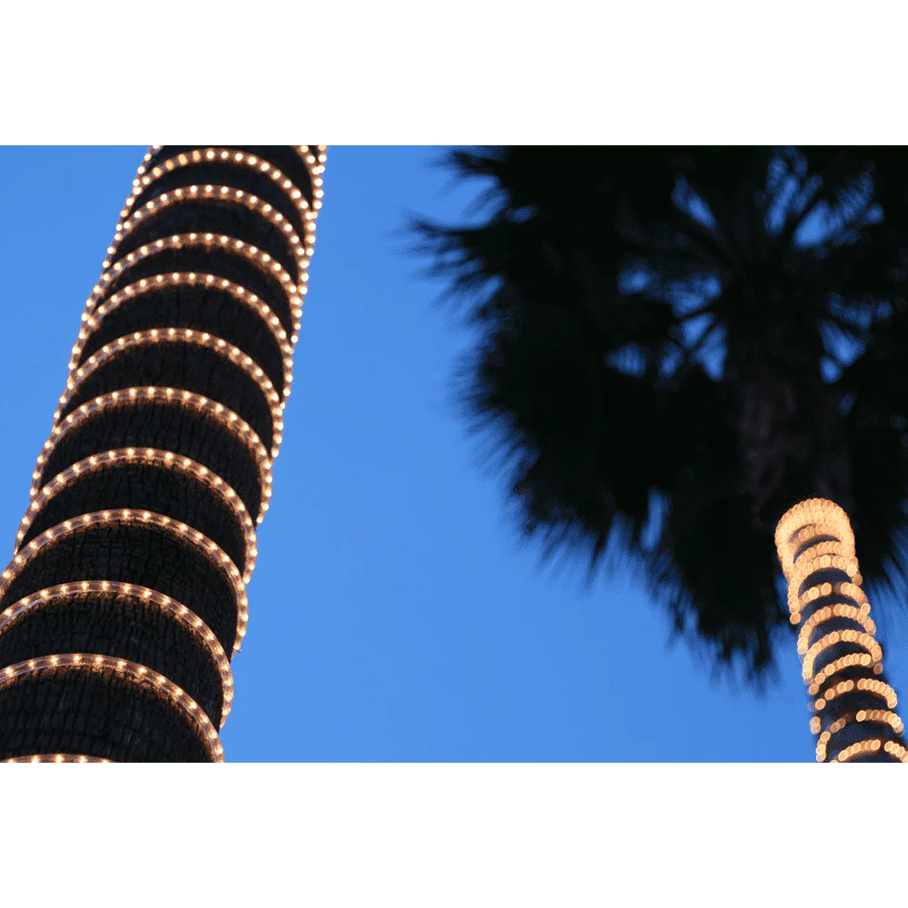 Thumbnail 13